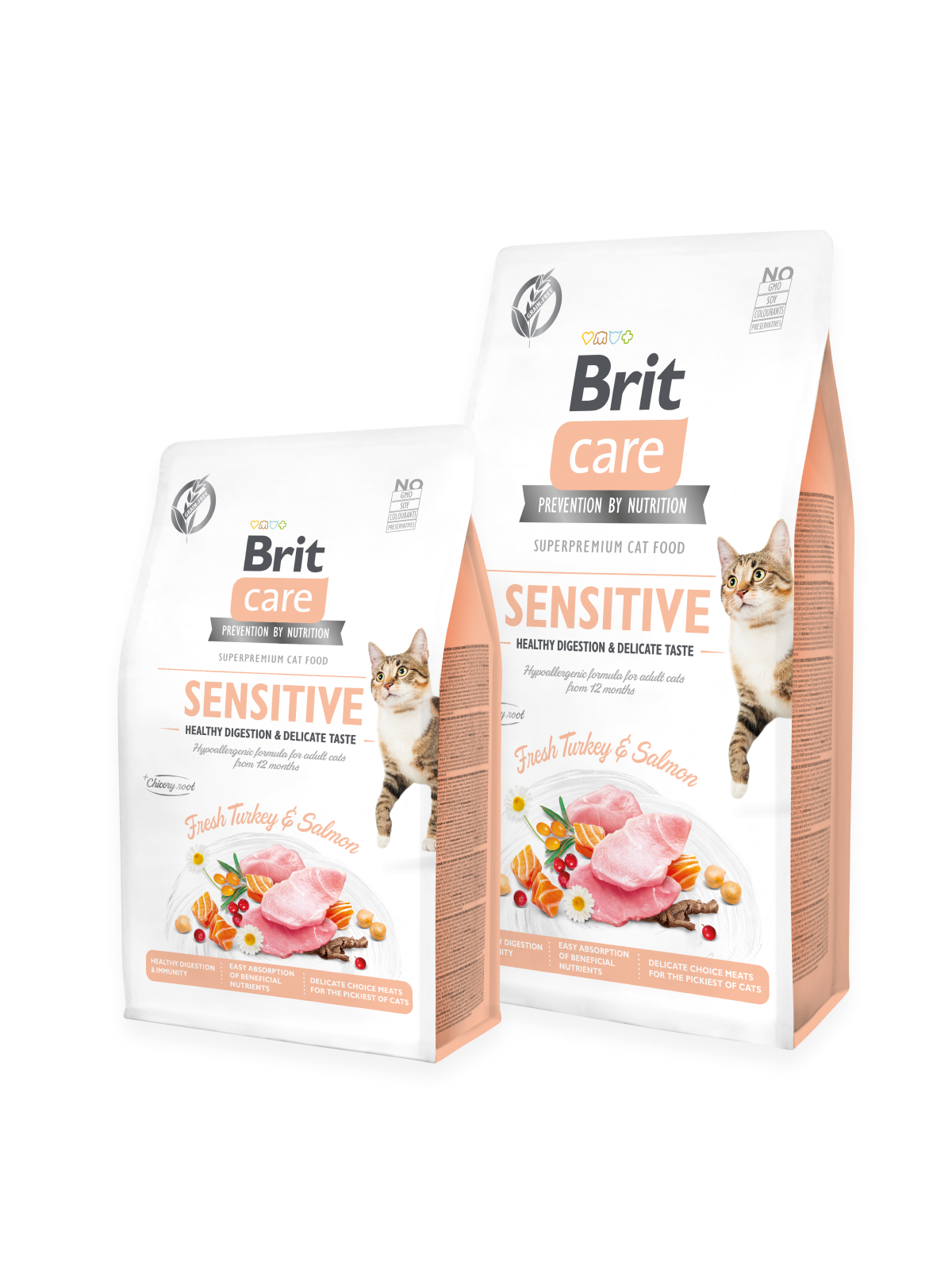 BRIT care chat sensible 2KG