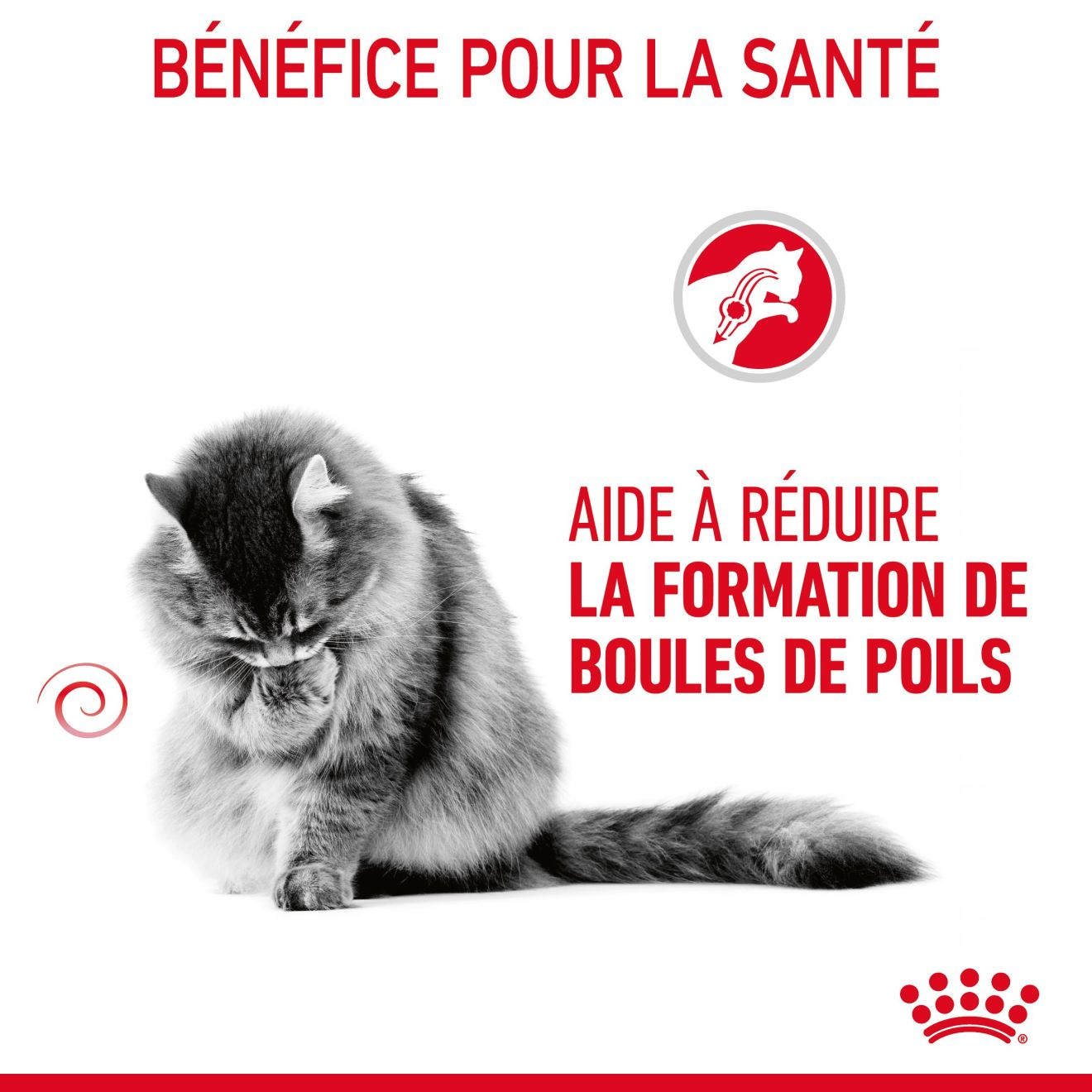 Royal canin chat hairball 2KG