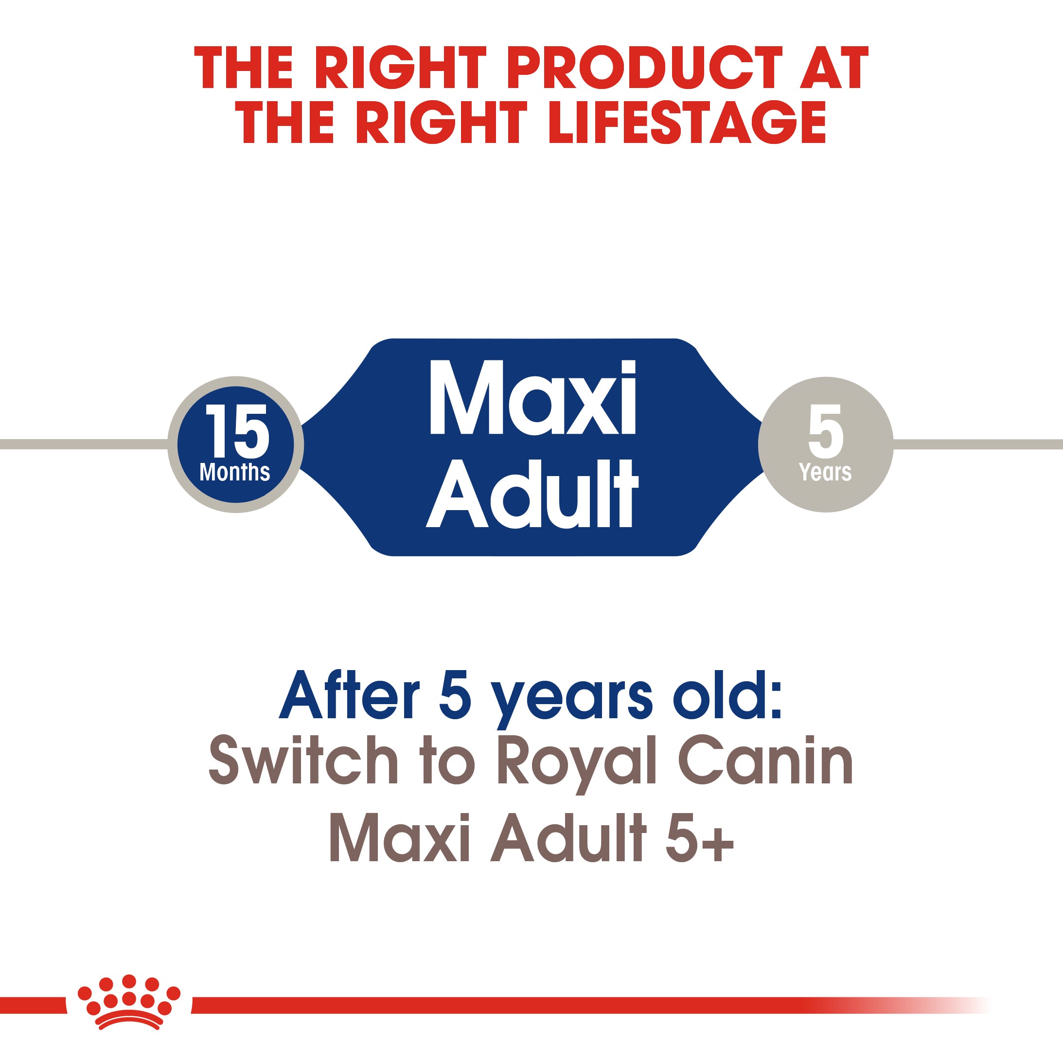 Royal canin adulte maxi 4KG