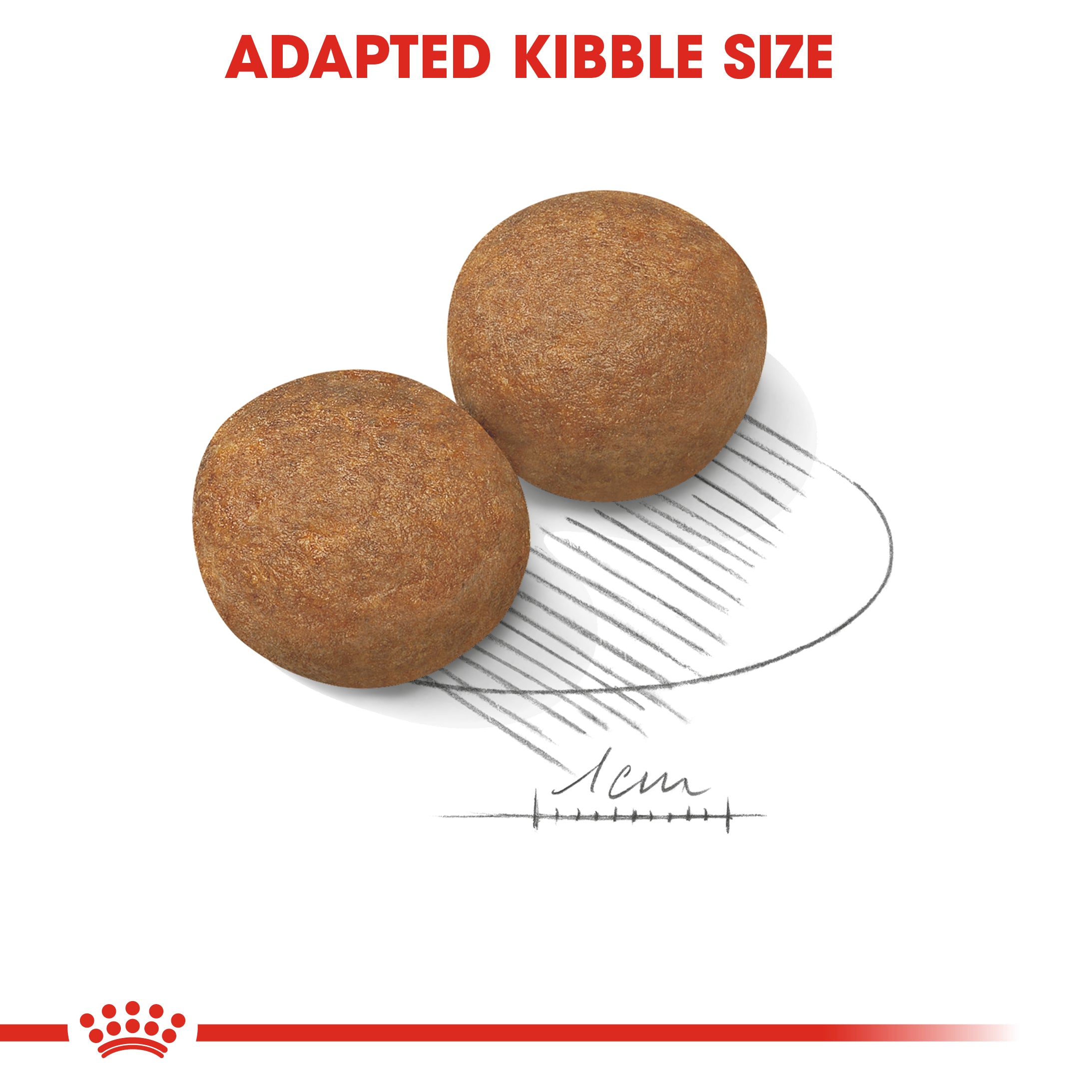 Royal canin adulte maxi 4KG