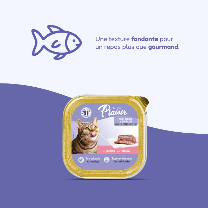 Barquette plaisir adultes&stérilisés saumon