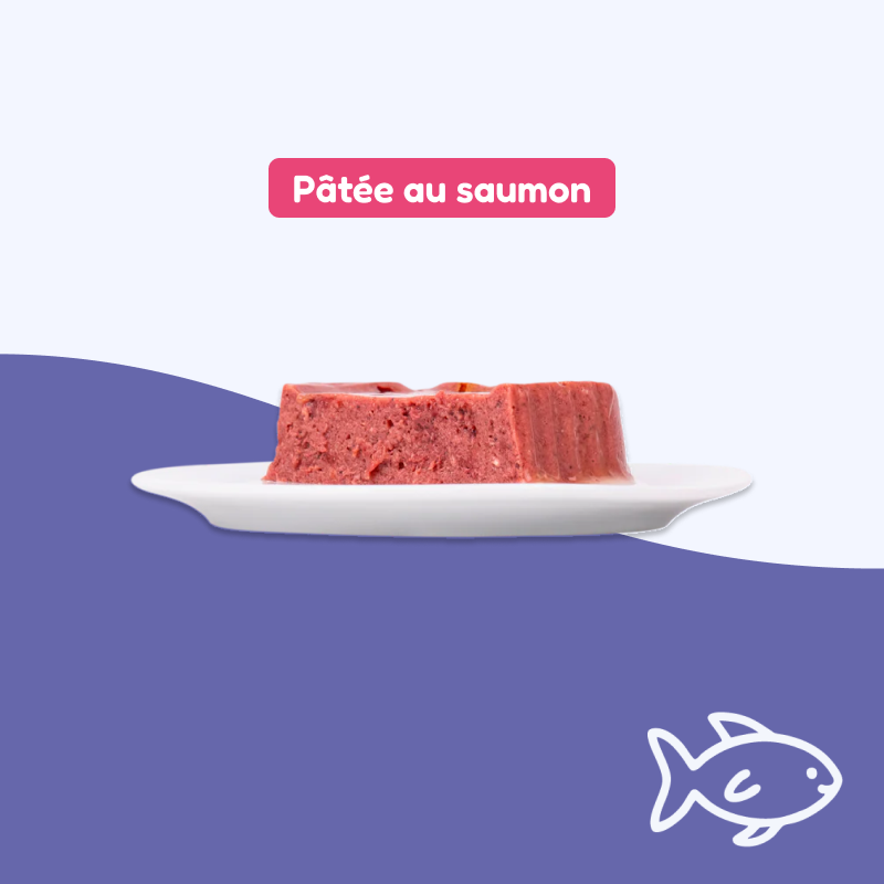 Barquette plaisir adultes&stérilisés saumon
