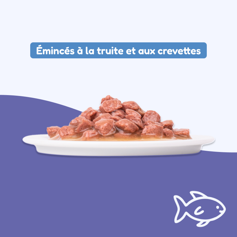 pochon plaisir crevettes et truite