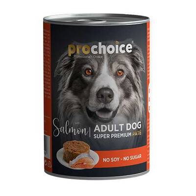 prochoice saumon chien adulte