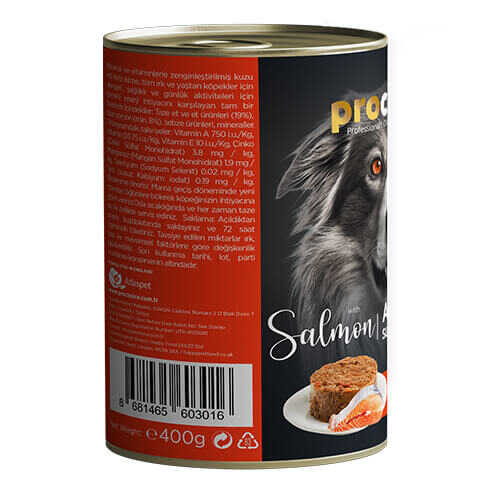 prochoice saumon chien adulte