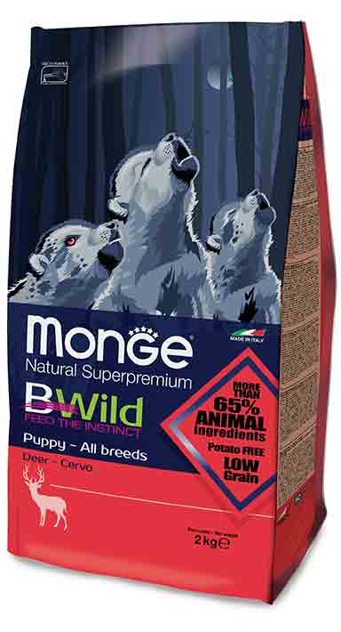 monge chiot