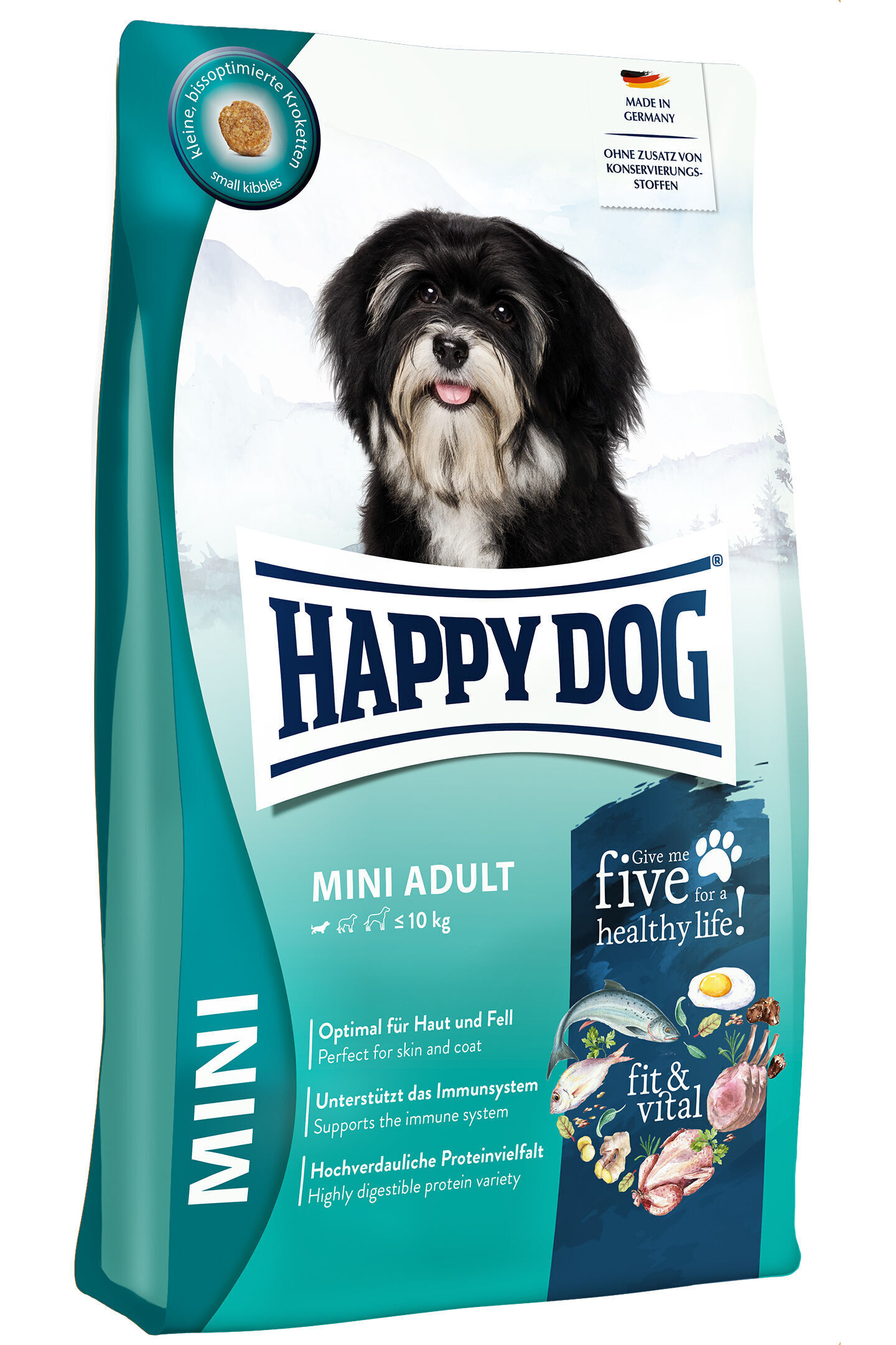 Happy dog mini chien