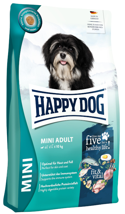 Happy dog mini chien